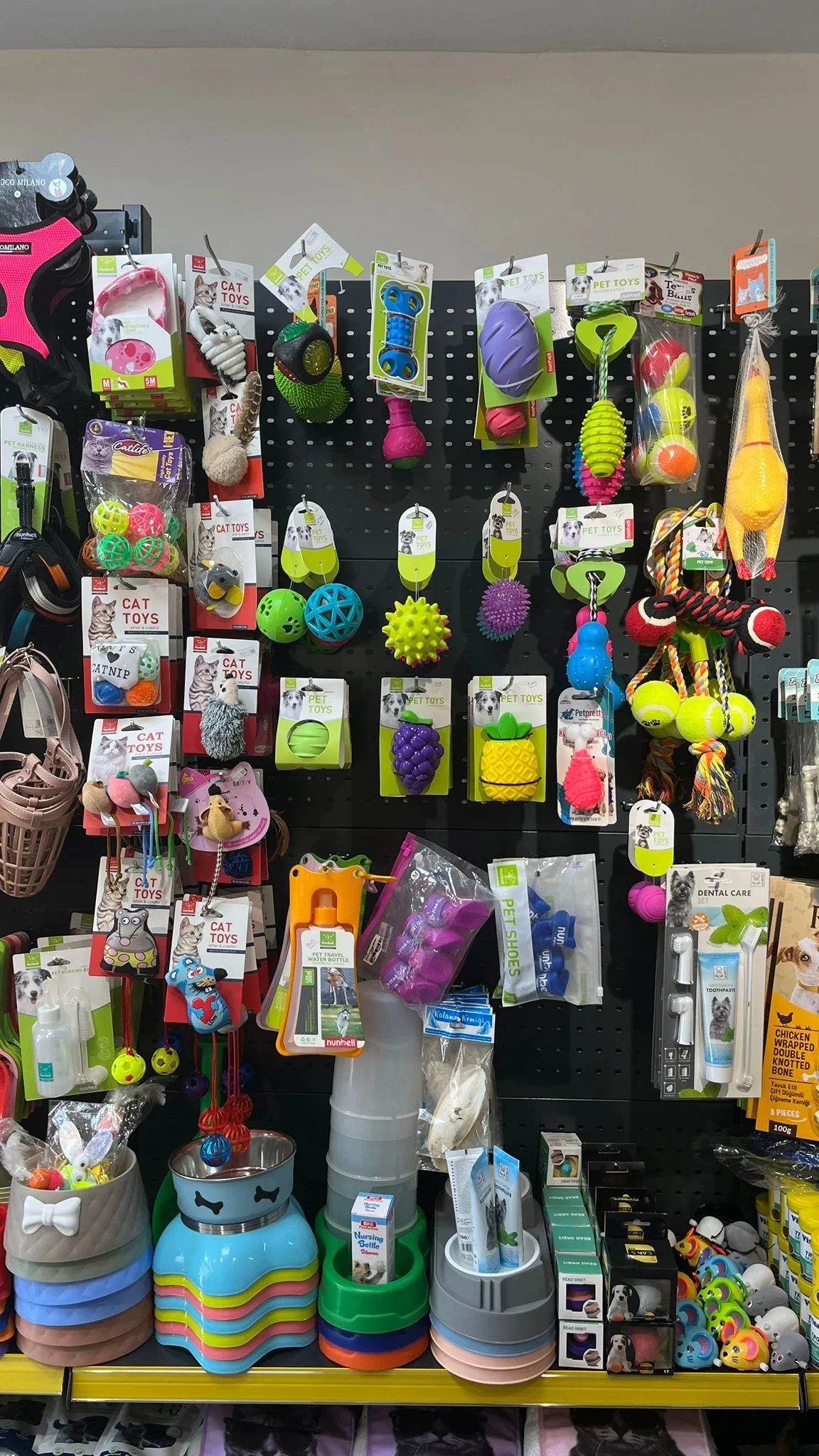 WhatsApp Image 2025-09-30 at 12.38.29 (1)