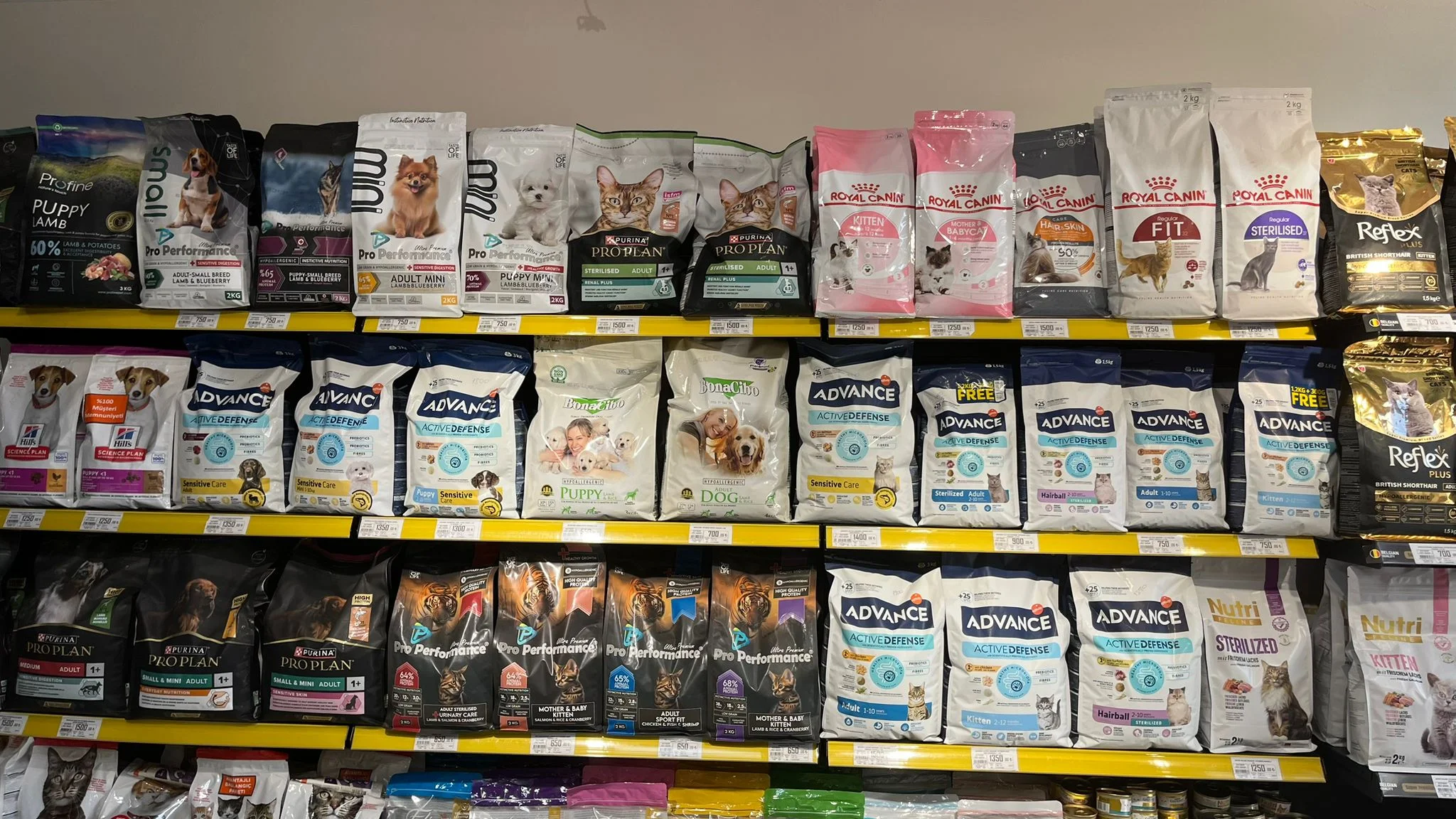 WhatsApp Image 2025-09-30 at 12.38.29 (2)