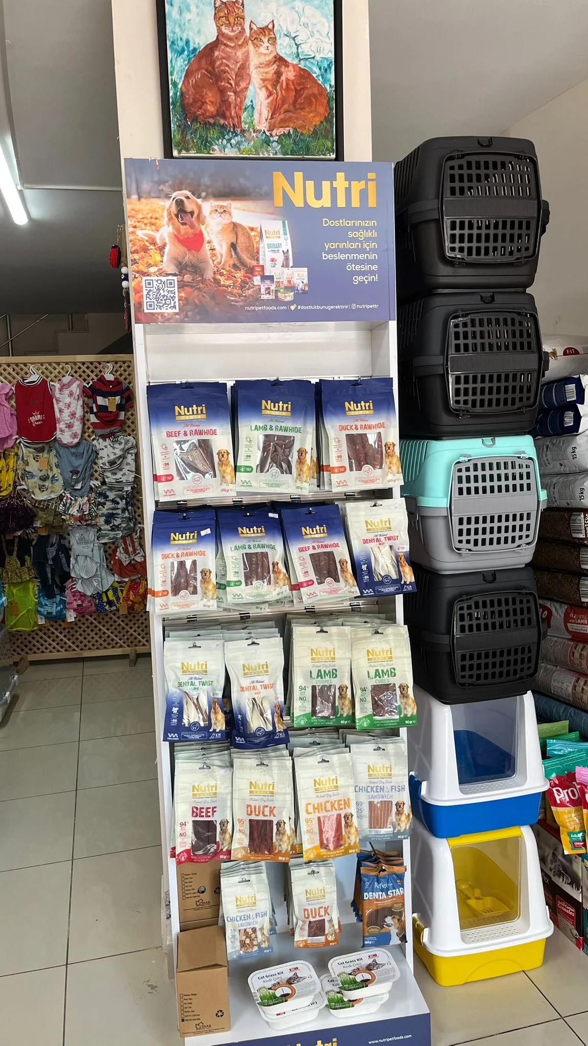 WhatsApp Image 2025-09-30 at 12.38.30