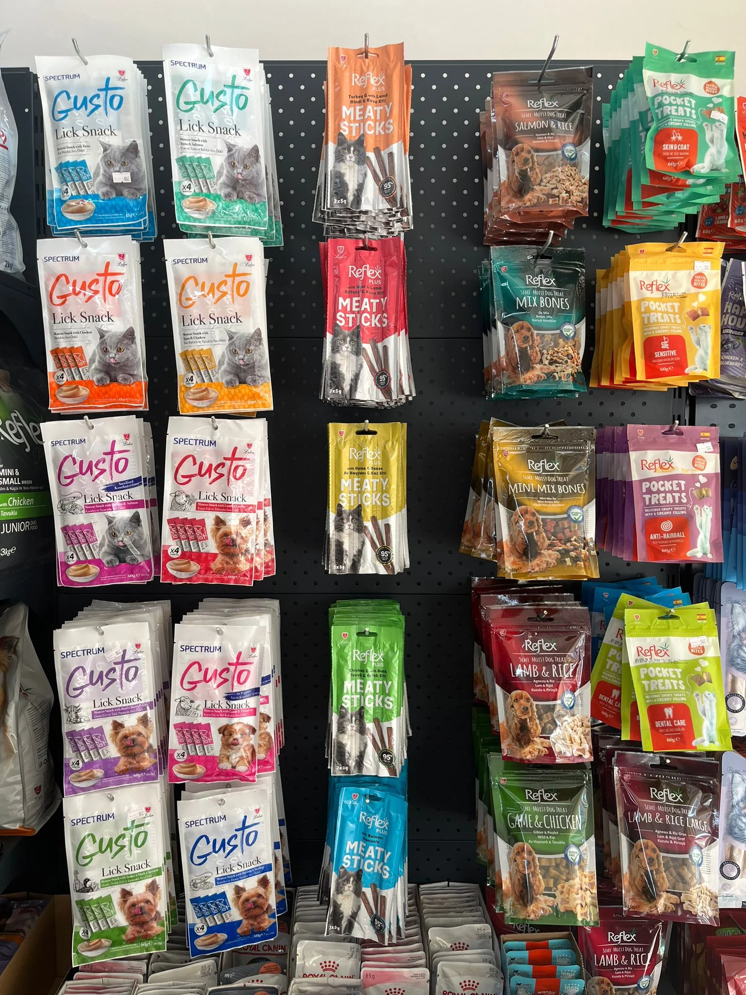 WhatsApp Image 2025-09-30 at 12.38.31